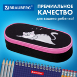Пенал-футляр BRAUBERG 1 отделение органайзер полиэстер 22x9х5 см "Don't wake up" (2 штуки в упаковке)