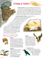 Книга о птицах. BIObook А. Толмачёва