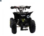Квадроцикл Racer Raptor 110