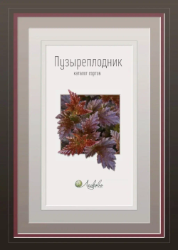 Пузыреплодник. Каталог сортов . Лесково