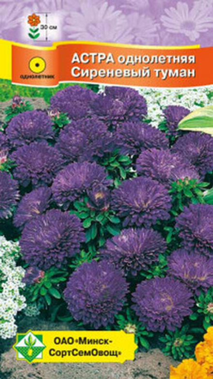 Астра карликовая "Сиреневый туман" 0,3г, Германия.