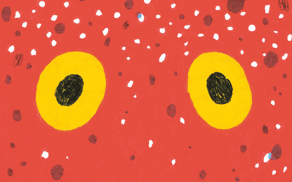 У осьминога ноль костей