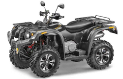 Квадроцикл STELS ATV 600 Y Leopard (ПСМ)
