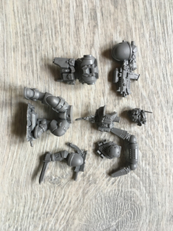 Vanguard  Primaris Lieutenant in Phobos