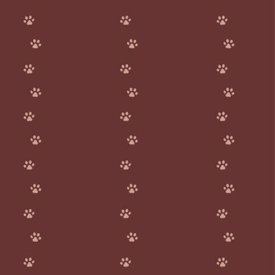 Кошачья лапка