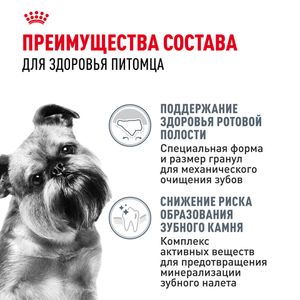 Сухой корм Royal Canin Mini Dental Care для собак мелких размеров, предрасположенных к образованию зубного камня