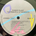 Виниловая пластинка Robert Plant - The Principle Of Moments LP