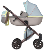 Детская коляска Anex e/type 2 в 1 wilson