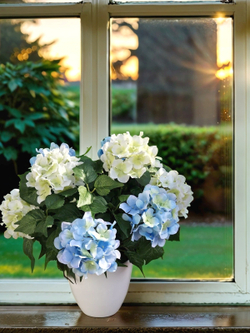Искусственные цветы Гортензия бело-голубая густая 40см в белом кашпо