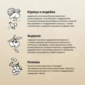 Сухой корм CRAFTIA NATURA для взрослых собак средних и крупных пород из курицы и индейки