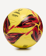 Мяч футбольный Triumph Elite Winter №5