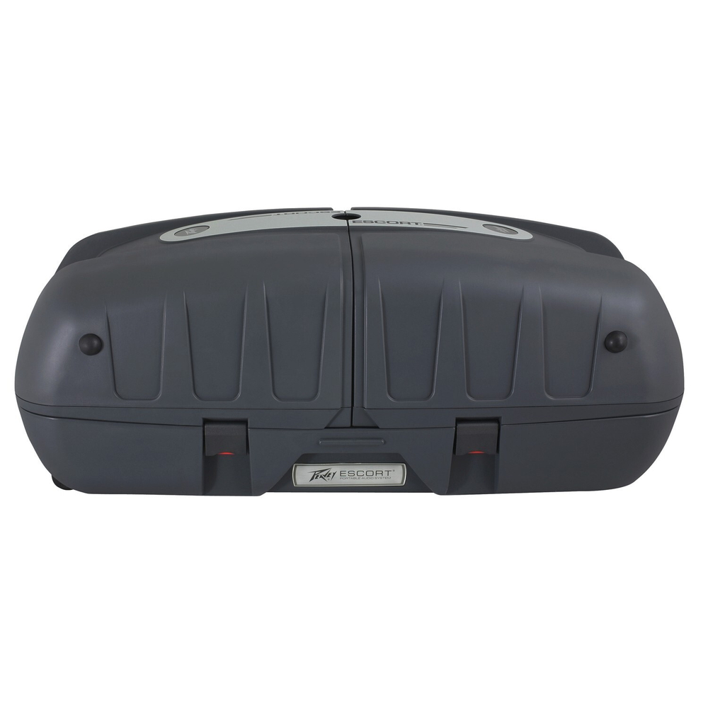 Peavey Escort 6000 (w/stand)