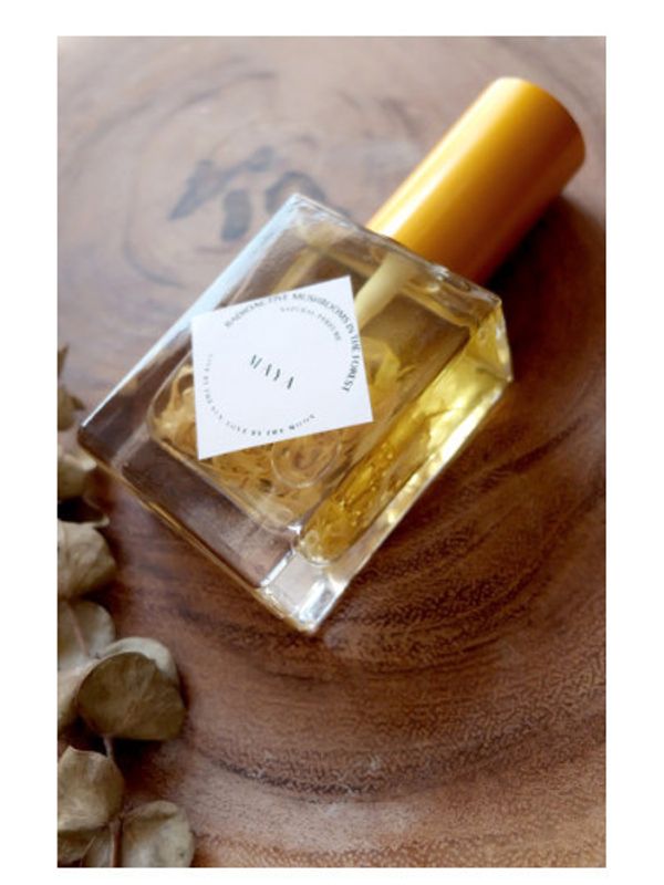 Radioactive Mushrooms in the Forest Maya