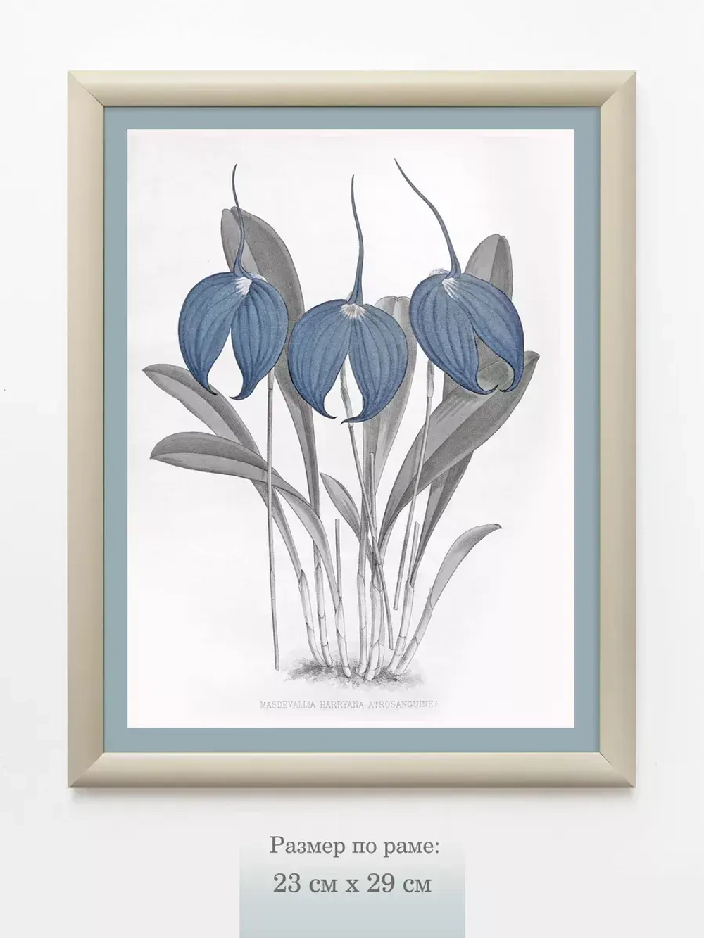 Картина на стену интерьерная на холсте 23*29 см
