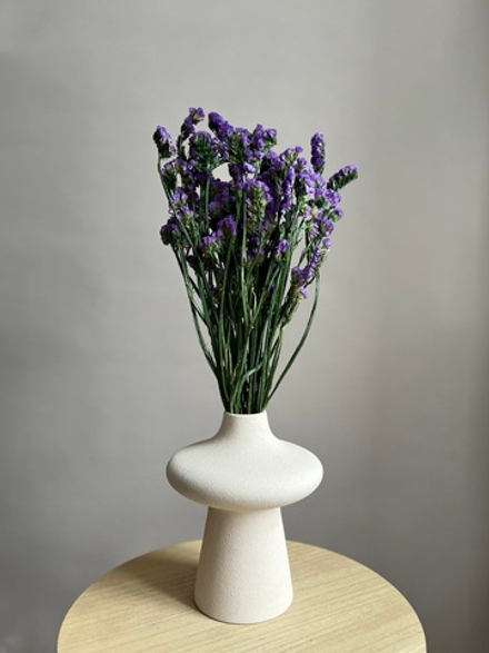 Статица стабилизированная фиолетовая