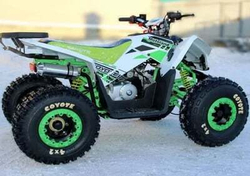 Квадроцикл MOTOLAND 125 COYOTE (2021 Г.)