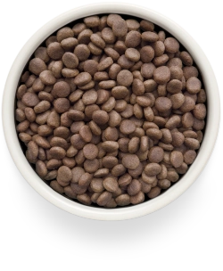 Grandorf DERMATOSIS, Gluten & Grain Free, Veterinary Diet (Salmon)