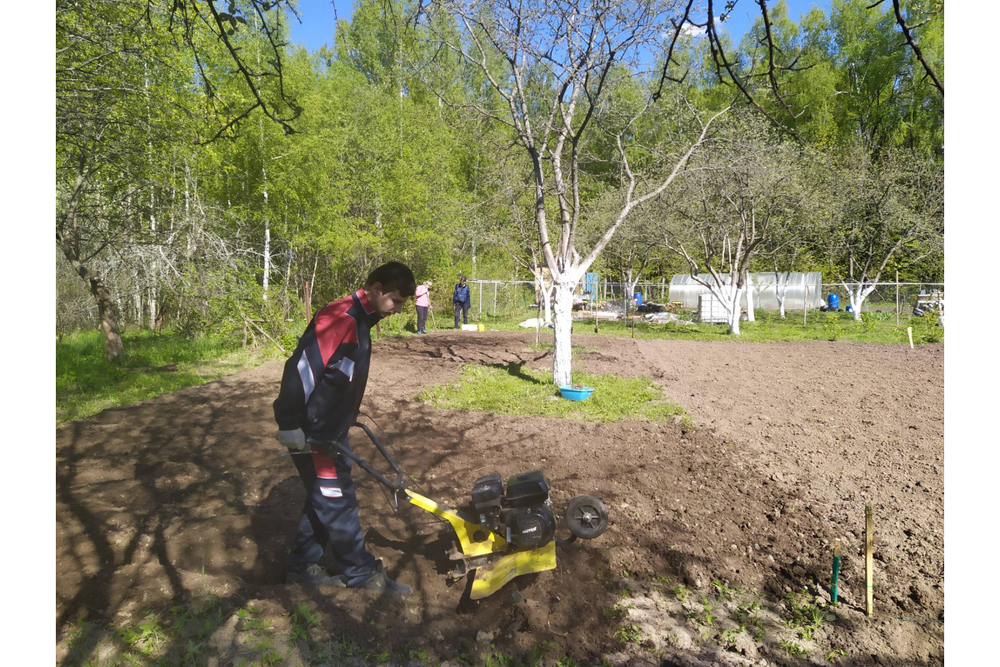 Культиватор бензиновый Huter GMC-6.5