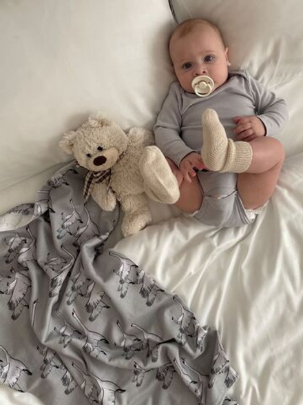 Сет из 2-х пеленок LooJoo Журавли / Серый шелк