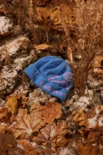 Шапка Called a Garment Pathway Logo Beanie синий / сиреневый