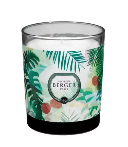 Maison Berger Paris - Ароматическая свеча Капля Личи 240г. / артикул   6375  / GTIN 3127290063755