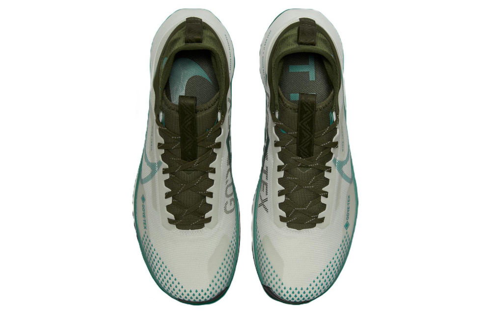 Кроссовки Nike Pegasus Trail 4 Gore-Tex