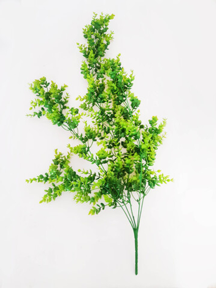 Брусничник свисающий