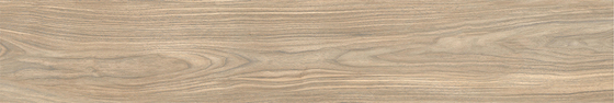 20x120 Wood-X Ореx Голд Терра Матовый R10A