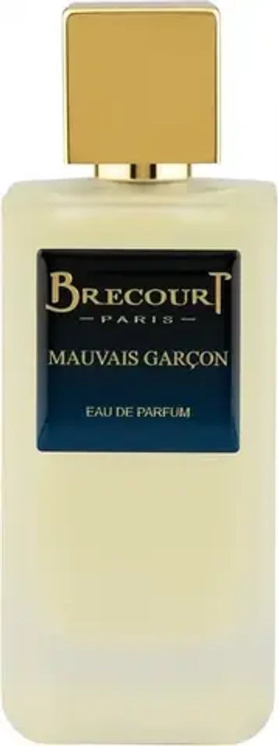 BRECOURT MAUVAIS GARCON EDP 50 ML
