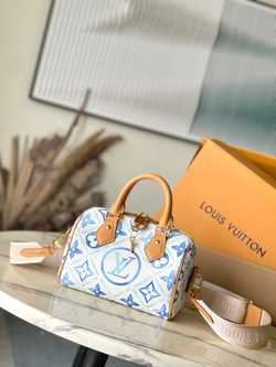 Louis Vuitton Speedy 20