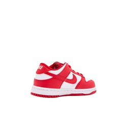 Детские кроссовки Nike Dunk Low 'St. Johns' FB9107-119