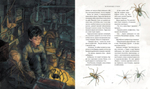 Гарри Поттер и философский камень (с цветными иллюстрациями). Дж.К. Роулинг