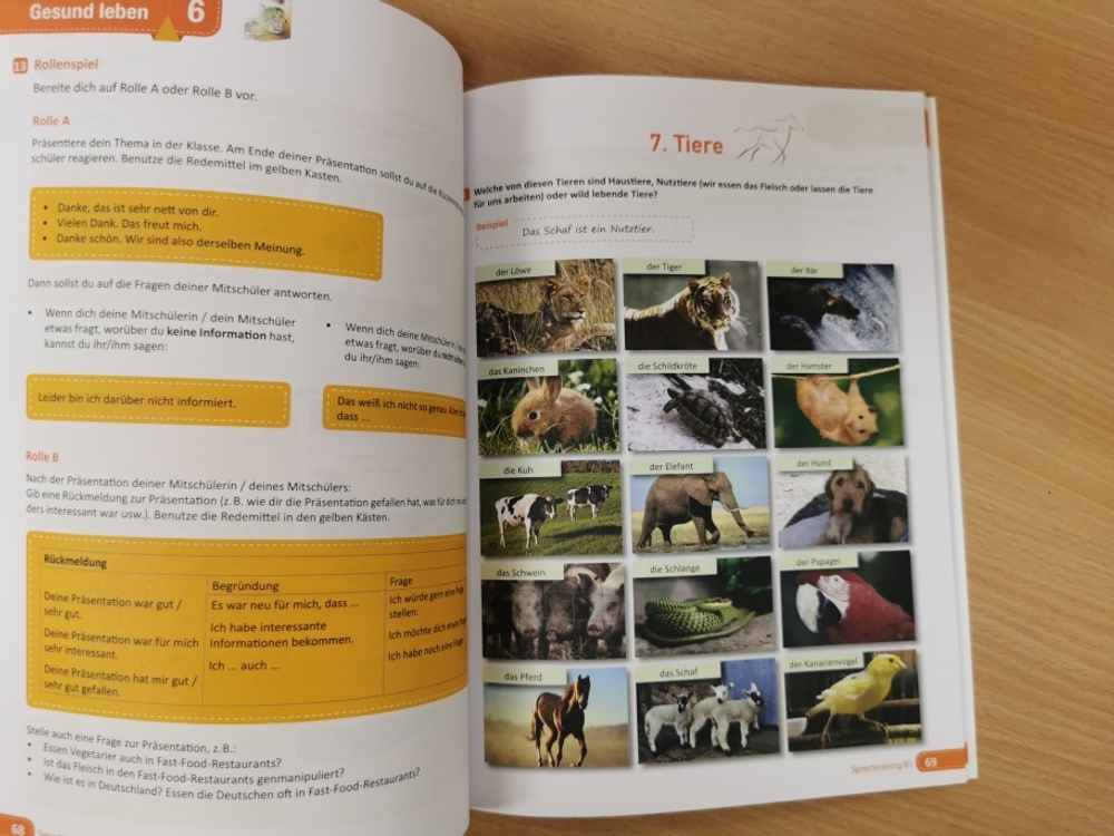 Sprechtraining B1; Zertifikat B1 - Modul Sprechen