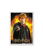 Dragon Shield - Матовые протекторы «Ron Weasley» (100 штук)