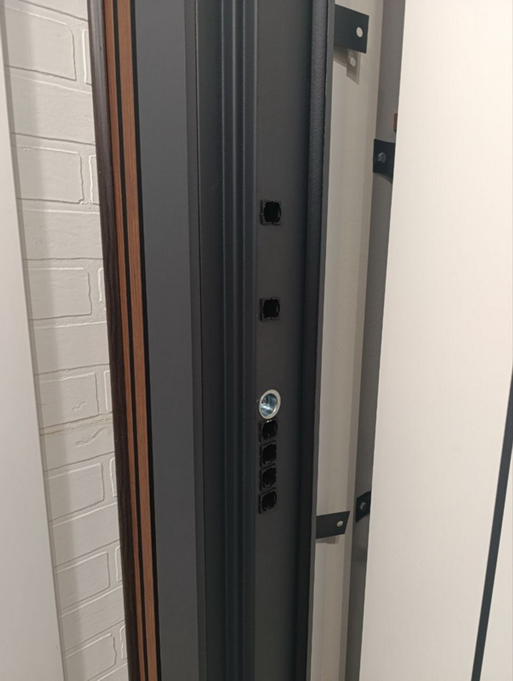 Стальная дверь "Спектра". Заказная модель.