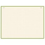 Блокнот А5 (144х212 мм), 100 л., твердая обложка, под кожу, на резинке, BRUNO VISCONTI, "VELVET", Салатовый, 3-525/09