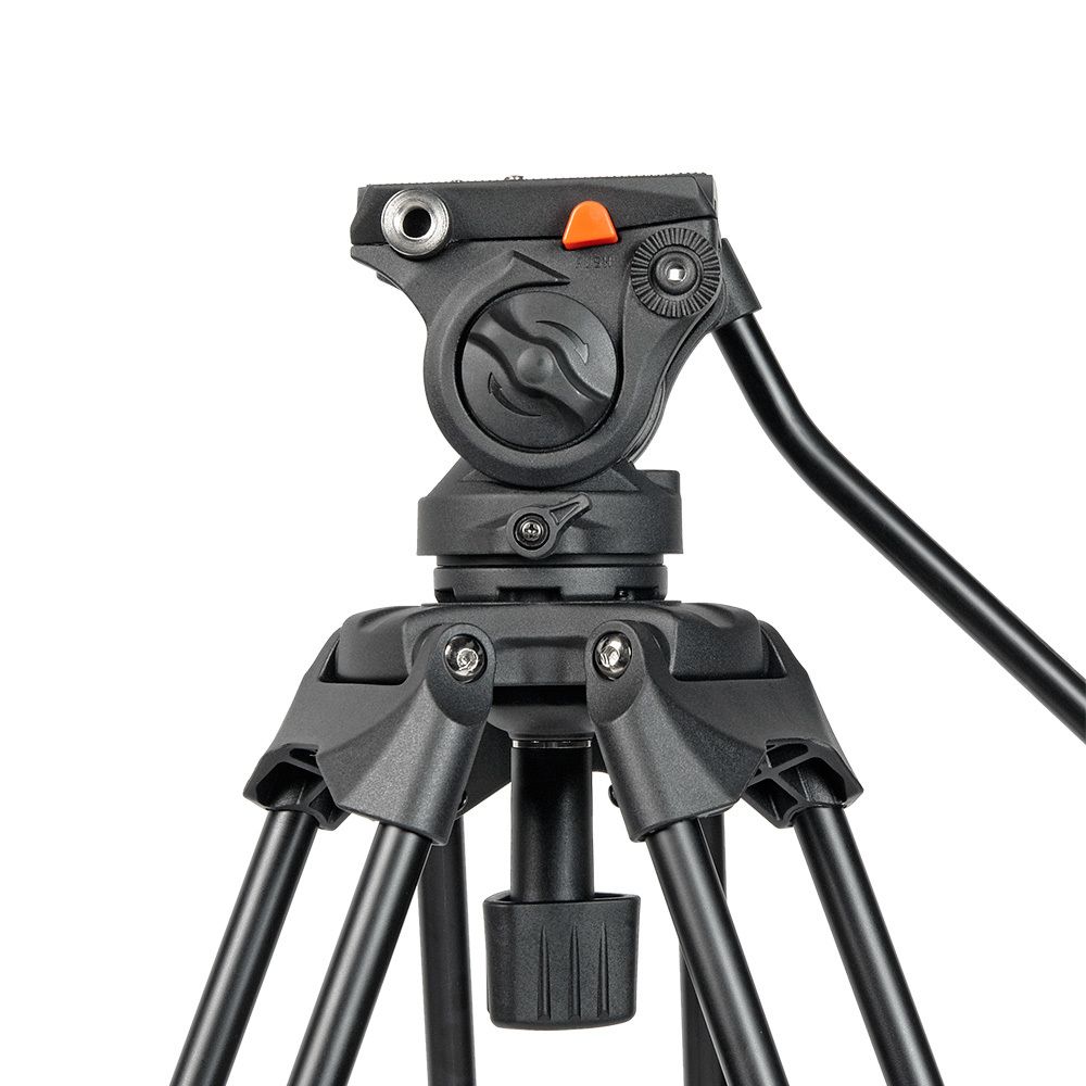 GreenBean HDV Elite 419