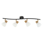 Потолочный светильник Arte Lamp FALENA A3117PL-4BK