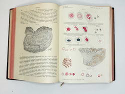 Eulenburg A., проф. Эйленбург А  Реальная энциклопедия практической медицины в XVII томах. 1909-1915