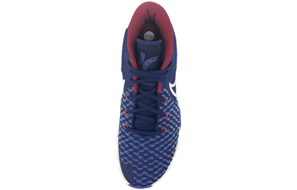 Кроссовки Nike Kd Trey 5 Viii Ep