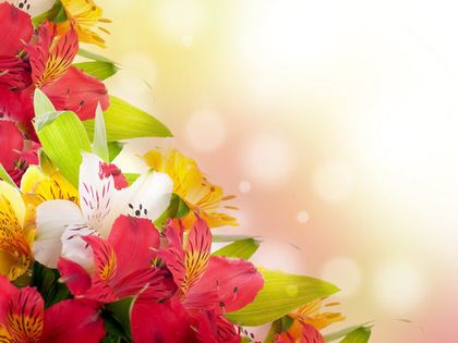 Поздравляем женщин с 8 марта!