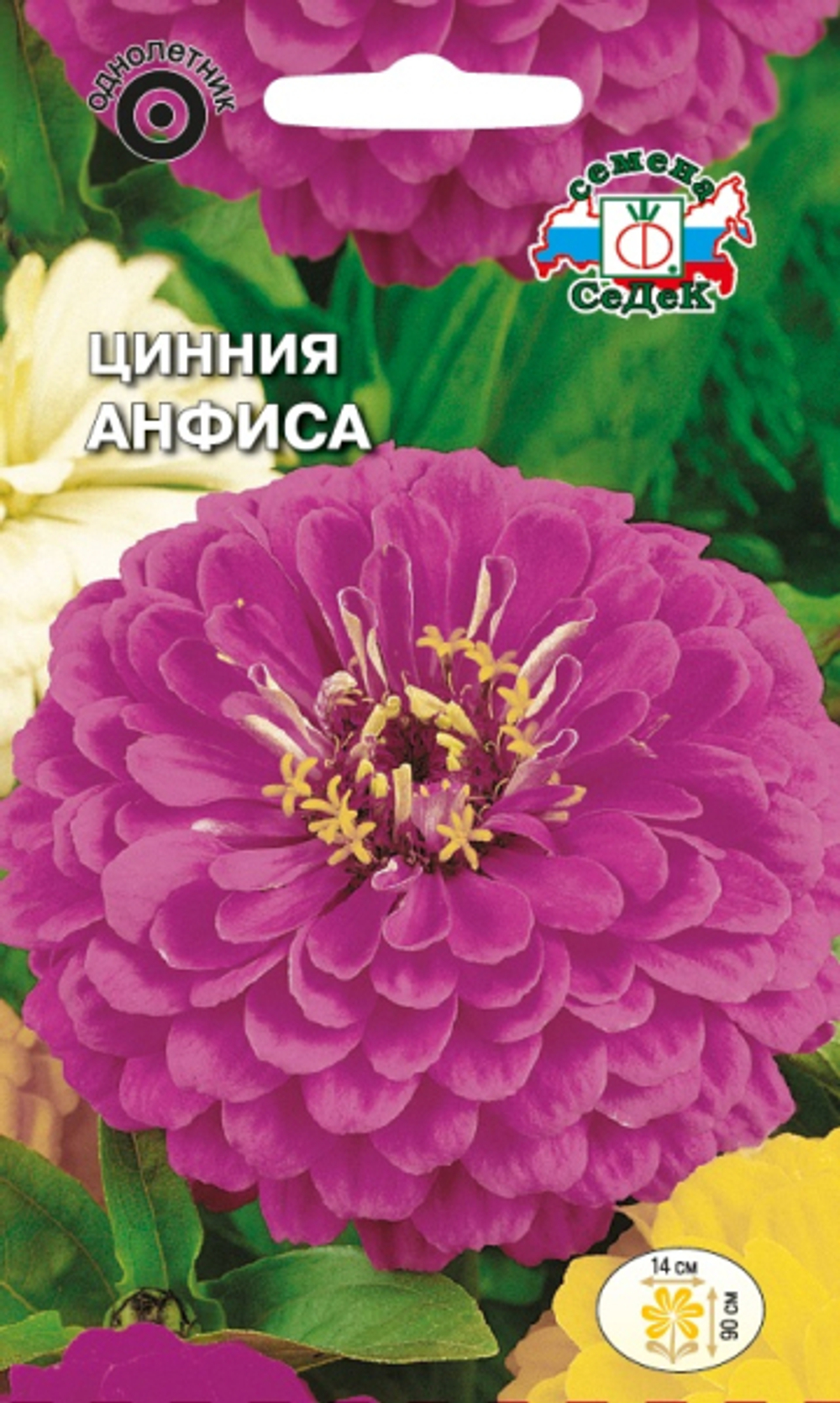 Цинния Анфиса георгиновидная