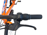 Велосипед Bike Dragon 29" 21скор (ст.рама,SunRun, Жесткая вилка, тормоз V-brake) BD-1-29-4 оранжевый
