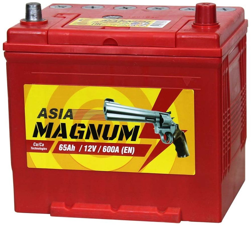 Magnum Asia 6СТ- 75 аккумулятор