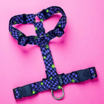 Шлейка Lav Flash+Neon Riot