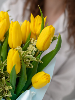 Немного солнца в холодной воде