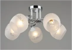 1712/5 WT+CH (2) Люстра (RL)