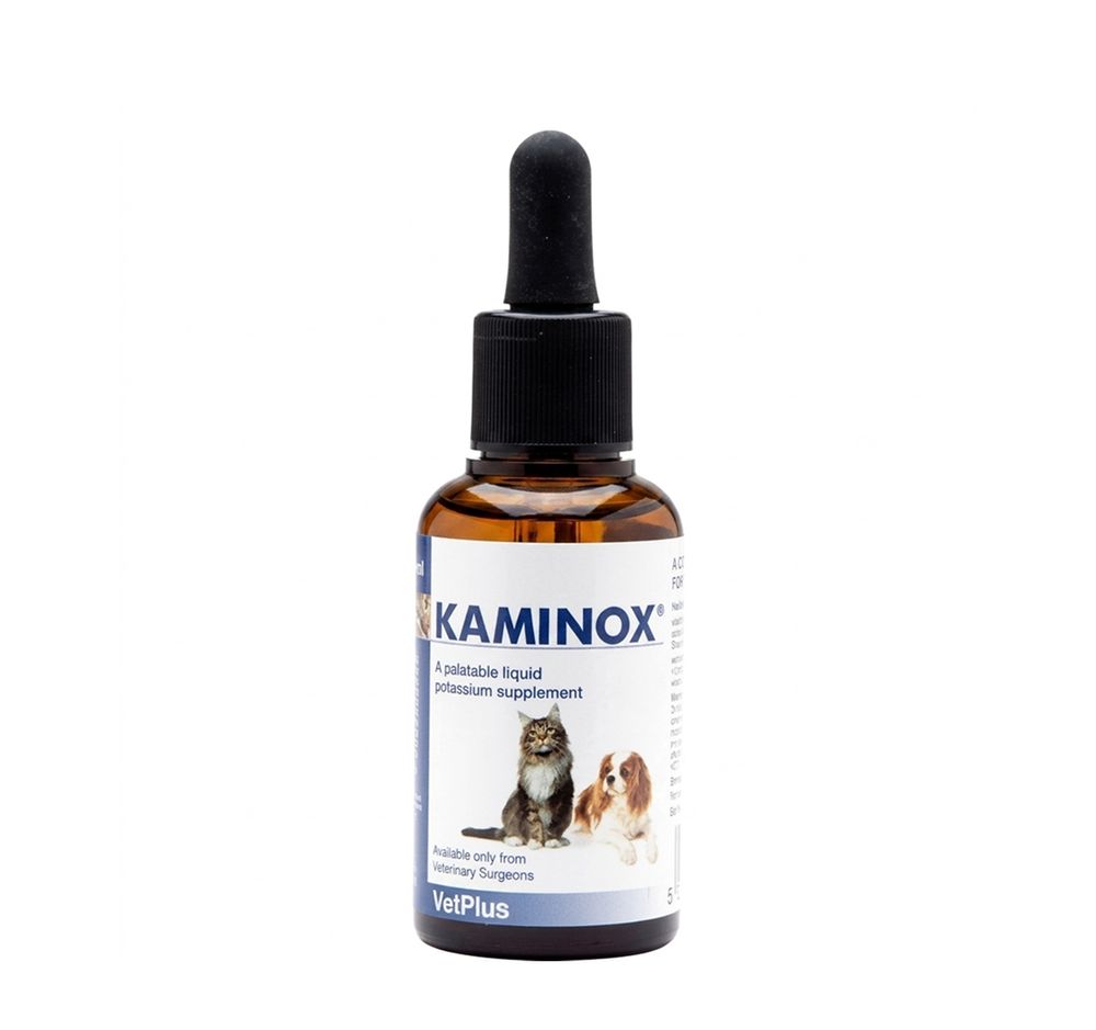 Каминокс