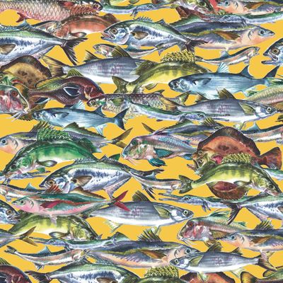 рыбное безумие =) на желтом