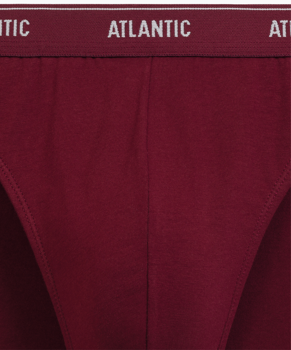 Мужские трусы слипы спорт Atlantic, набор 2 шт., хлопок, графитовый + каберне, 2RMP-094